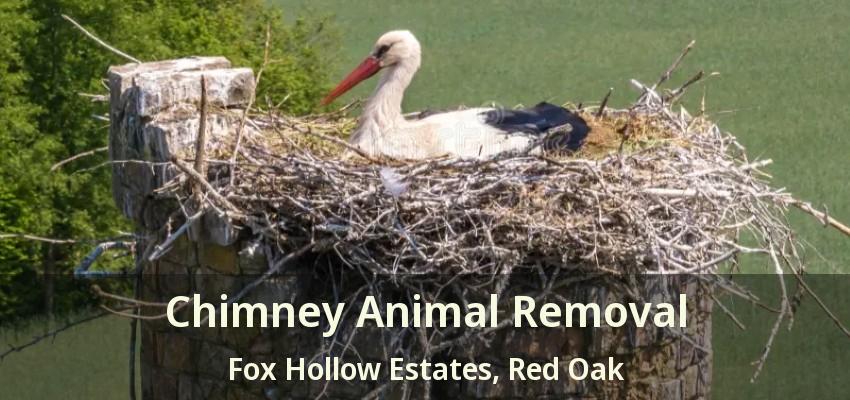 Chimney Animal Removal Fox Hollow Estates, Red Oak - TX