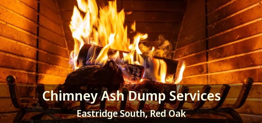 Chimney Ash Dump Services Eastridge South, Red Oak - TX