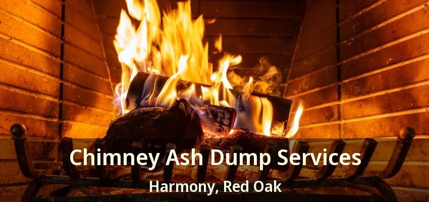 Chimney Ash Dump Services Harmony, Red Oak - TX