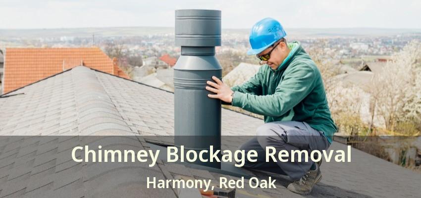 Chimney Blockage Removal Harmony, Red Oak - TX