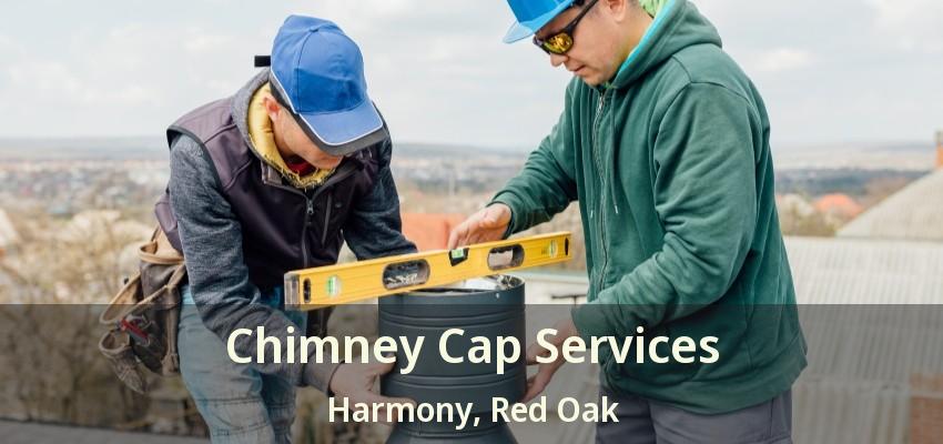 Chimney Cap Services Harmony, Red Oak - TX