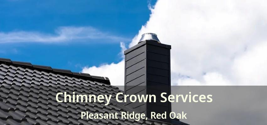 Chimney Crown Services Pleasant Ridge, Red Oak - TX