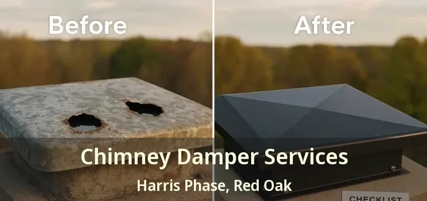 Chimney Damper Services Harris Phase, Red Oak - TX Chimney Damper Services Harris Phase, Red Oak - TX