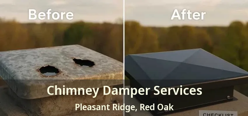 Chimney Damper Services Pleasant Ridge, Red Oak - TX