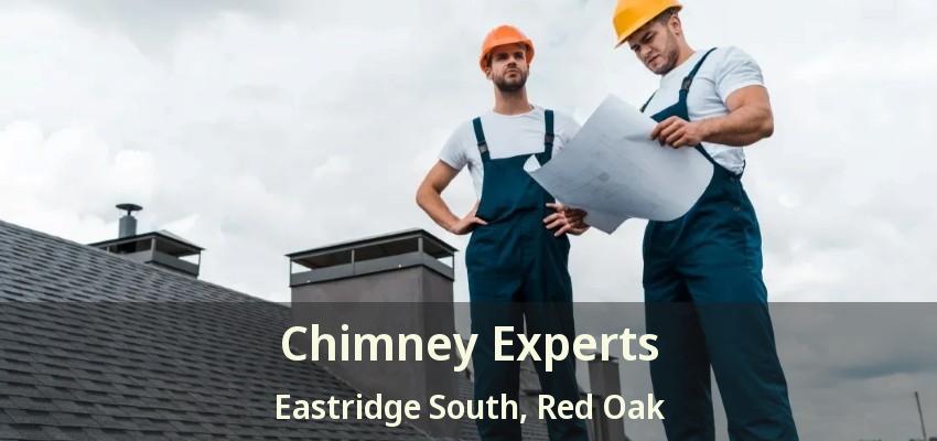 Chimney Experts Eastridge South, Red Oak - TX