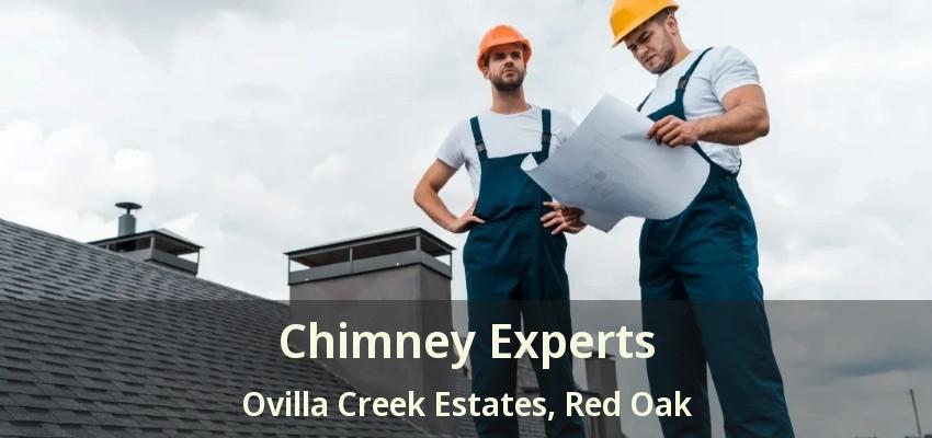 Chimney Experts Ovilla Creek Estates, Red Oak - TX