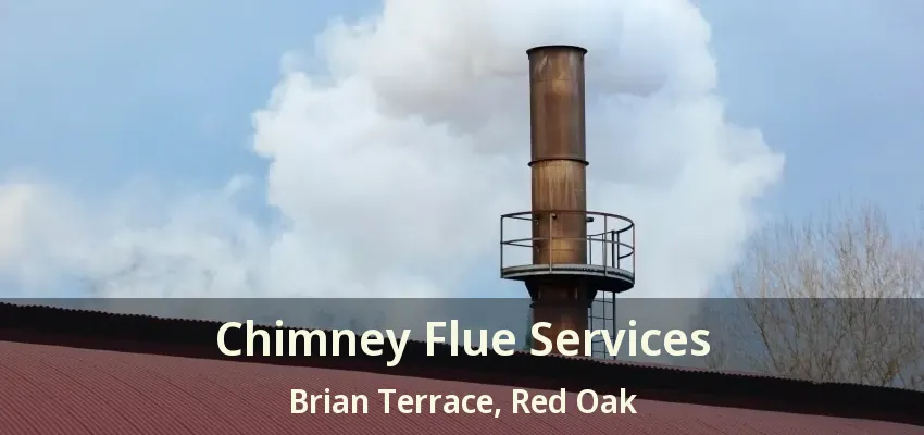 Chimney Flue Services Brian Terrace, Red Oak - TX