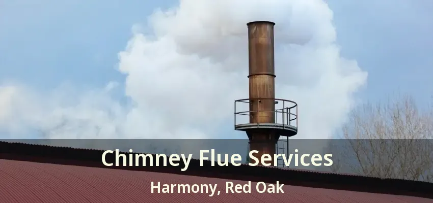 Chimney Flue Services Harmony, Red Oak - TX