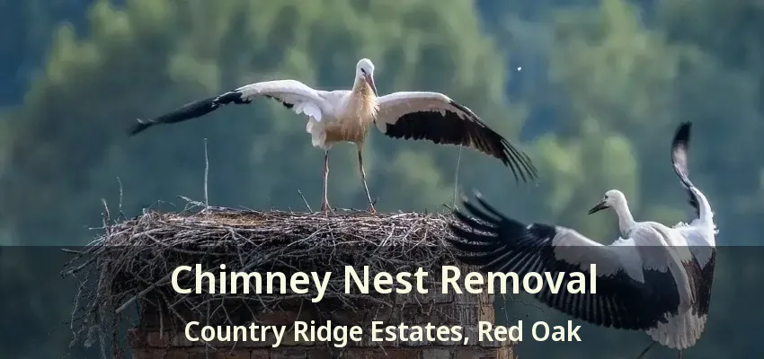 Chimney Nest Removal Country Ridge Estates, Red Oak - TX