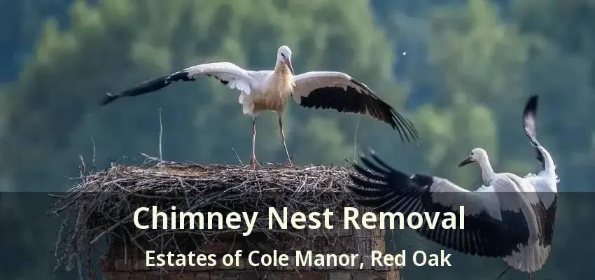 Chimney Nest Removal Estates of Cole Manor, Red Oak - TX
