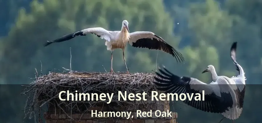 Chimney Nest Removal Harmony, Red Oak - TX