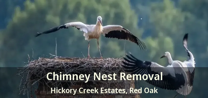 Chimney Nest Removal Hickory Creek Estates, Red Oak - TX