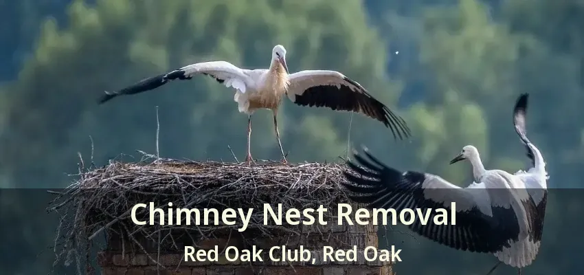 Chimney Nest Removal Red Oak Club, Red Oak - TX