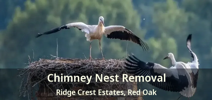 Chimney Nest Removal Ridge Crest Estates, Red Oak - TX