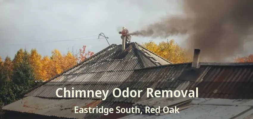 Chimney Odor Removal Eastridge South, Red Oak - TX