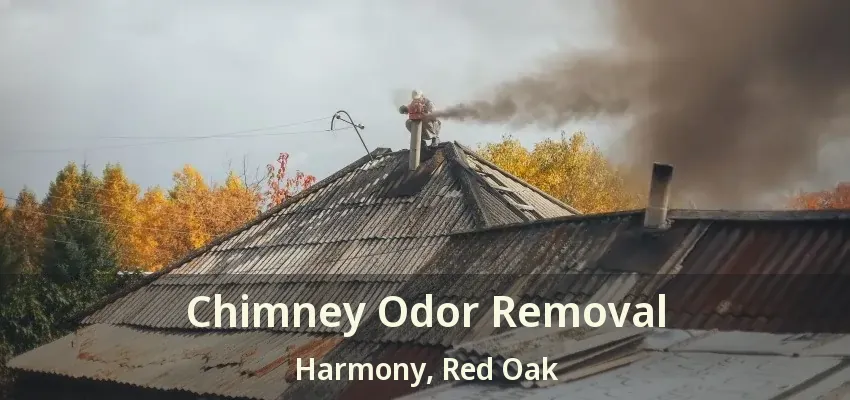 Chimney Odor Removal Harmony, Red Oak - TX