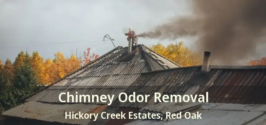 Chimney Odor Removal Hickory Creek Estates, Red Oak - TX