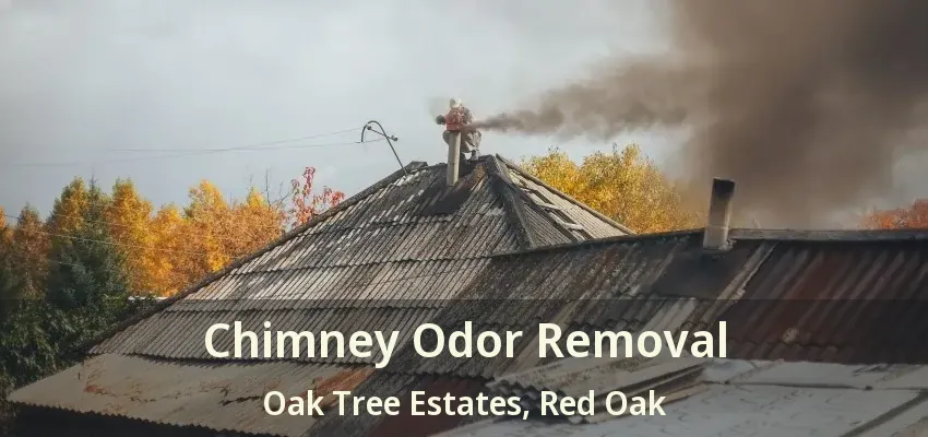 Chimney Odor Removal Oak Tree Estates, Red Oak - TX