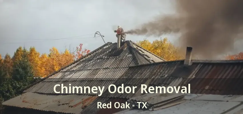 Chimney Odor Removal Red Oak - TX