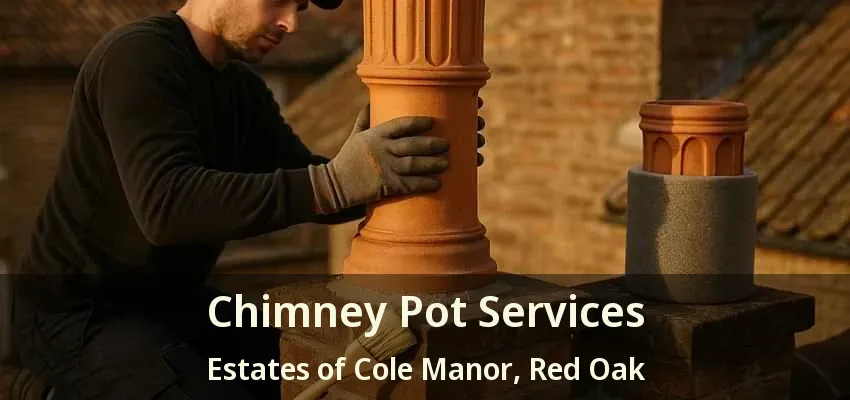 Chimney Pot Services Estates of Cole Manor, Red Oak - TX