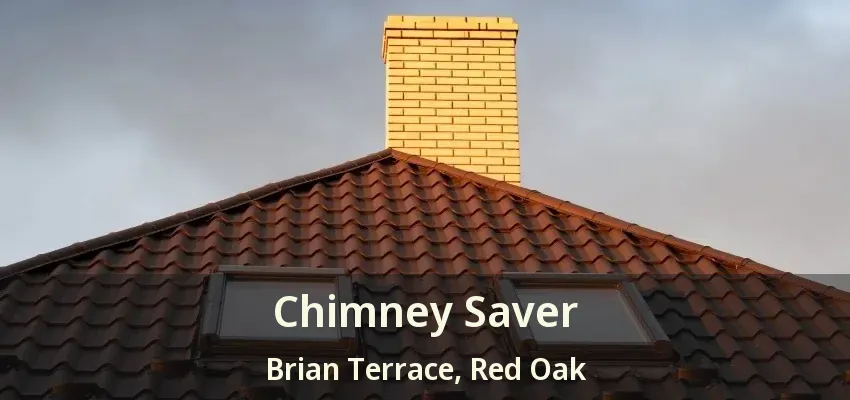 Chimney Saver Brian Terrace, Red Oak - TX