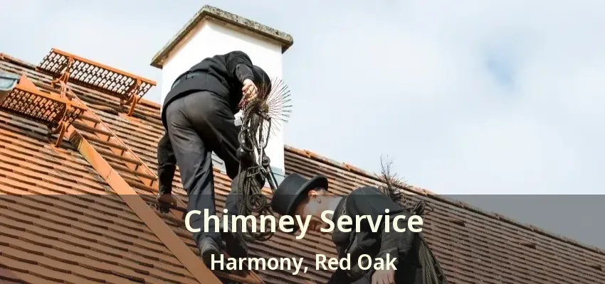 Chimney Service Harmony, Red Oak - TX