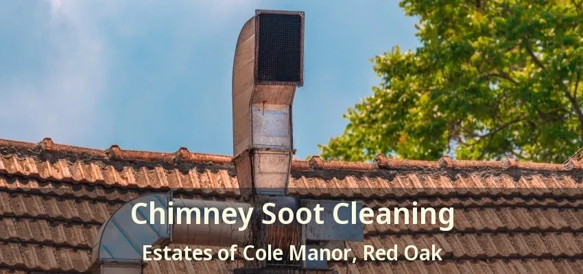 Chimney Soot Cleaning Estates of Cole Manor, Red Oak - TX