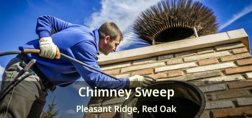Chimney Sweep Pleasant Ridge, Red Oak - TX
