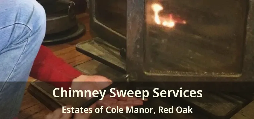 Chimney Sweep Services Estates of Cole Manor, Red Oak - TX