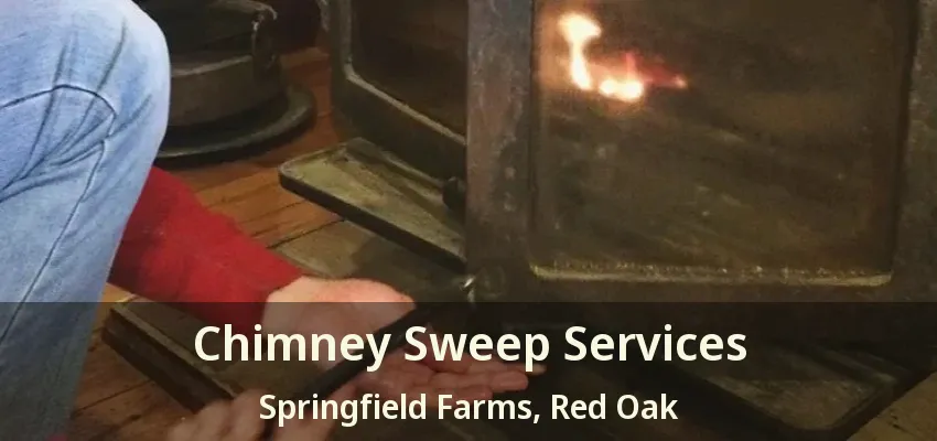 Chimney Sweep Services Springfield Farms, Red Oak - TX