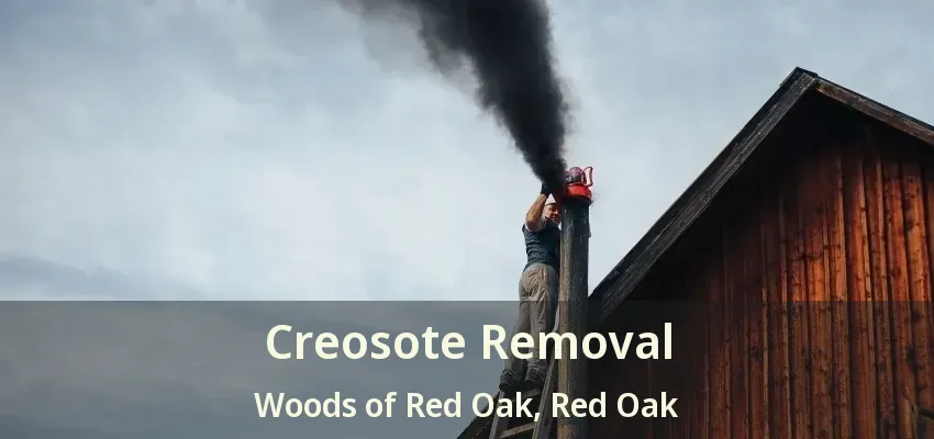 Creosote Removal Woods of Red Oak, Red Oak - TX
