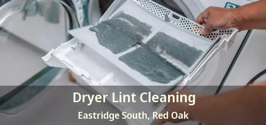 Dryer Lint Cleaning Eastridge South, Red Oak - TX