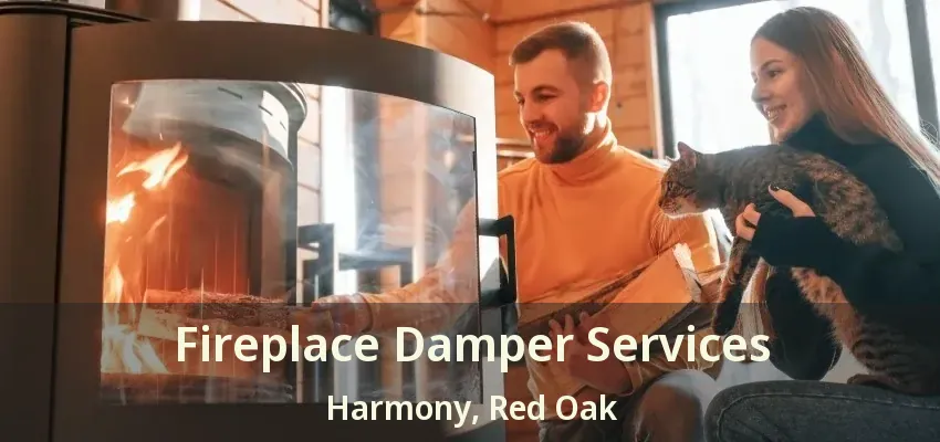 Fireplace Damper Services Harmony, Red Oak - TX
