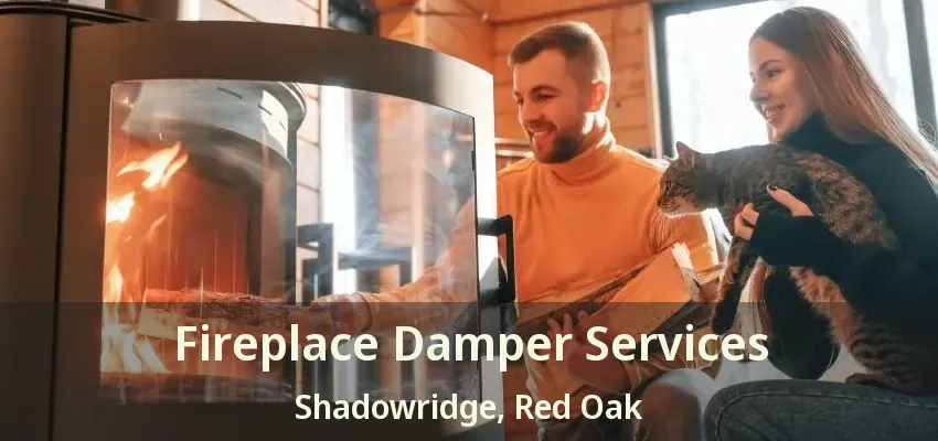 Fireplace Damper Services Shadowridge, Red Oak - TX