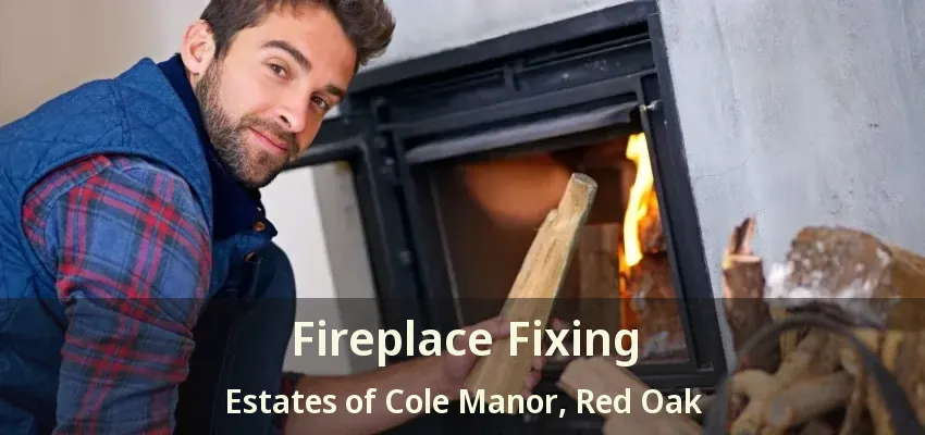Fireplace Fixing Estates of Cole Manor, Red Oak - TX