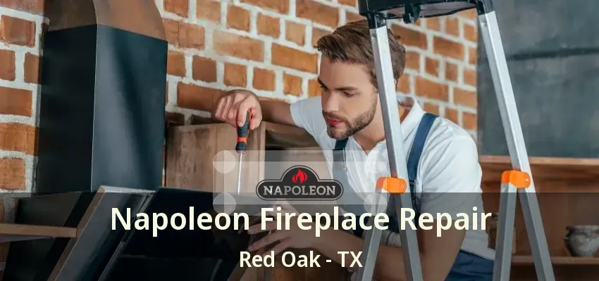 Napoleon Fireplace Repair Red Oak - TX
