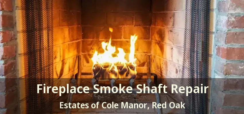 Fireplace Smoke Shaft Repair Estates of Cole Manor, Red Oak - TX
