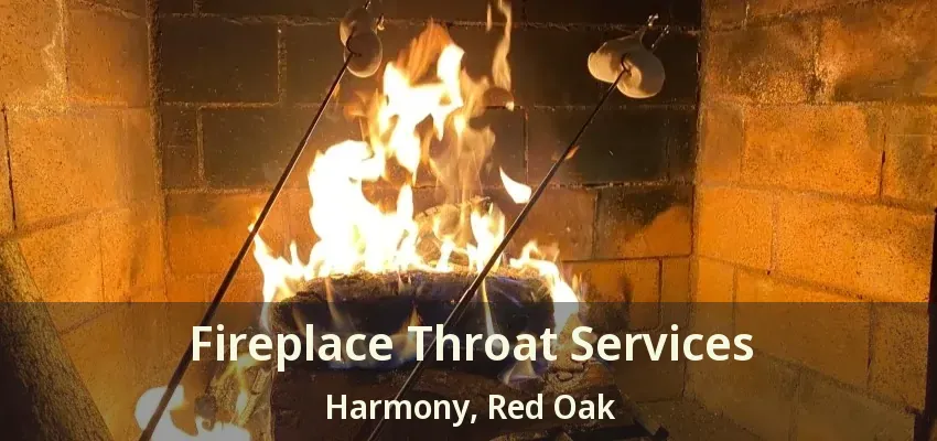 Fireplace Throat Services Harmony, Red Oak - TX