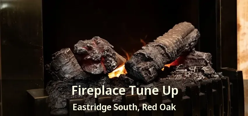 Fireplace Tune Up Eastridge South, Red Oak - TX