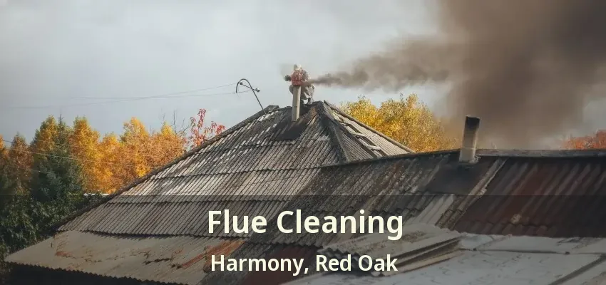 Flue Cleaning Harmony, Red Oak - TX
