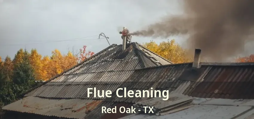Flue Cleaning Red Oak - TX