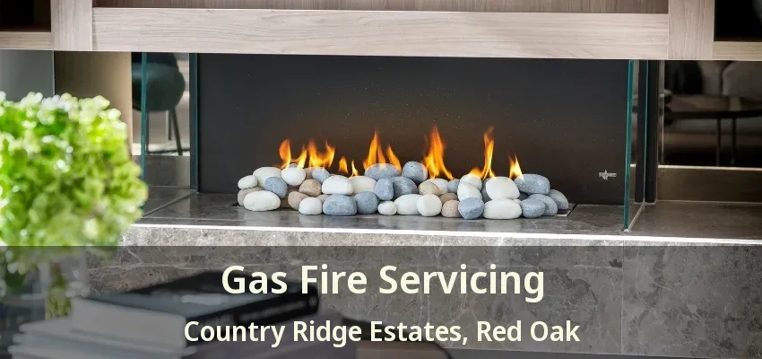 Gas Fire Servicing Country Ridge Estates, Red Oak - TX