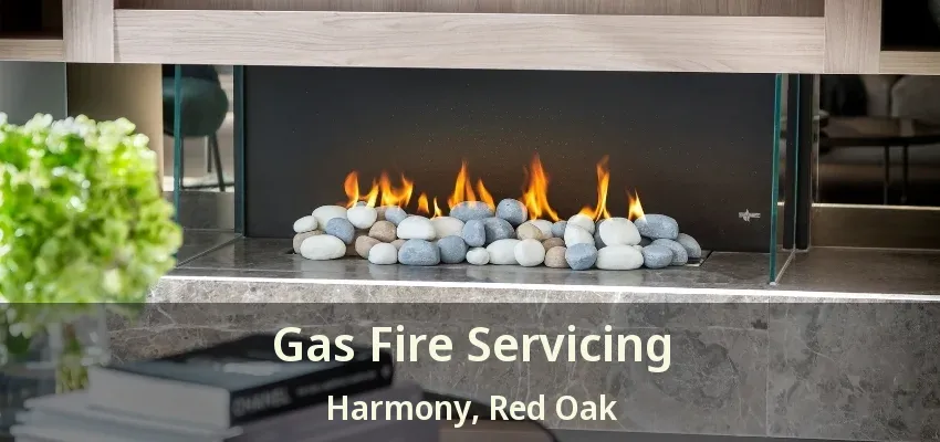 Gas Fire Servicing Harmony, Red Oak - TX