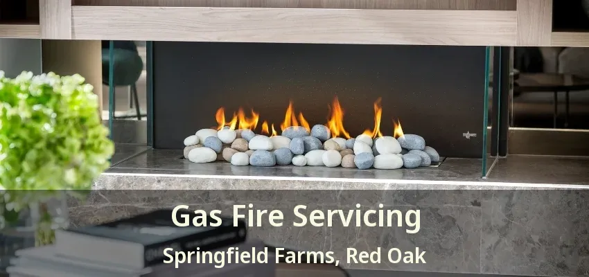 Gas Fire Servicing Springfield Farms, Red Oak - TX