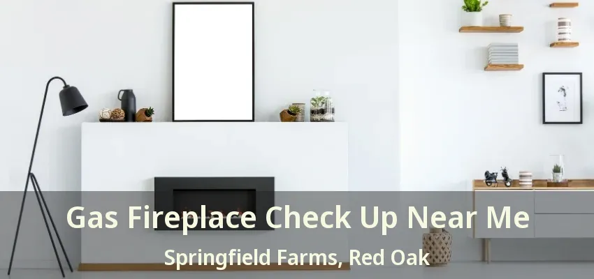 Gas Fireplace Check Up Near Me Springfield Farms, Red Oak - TX