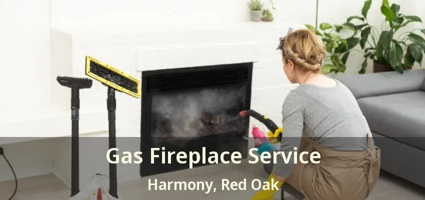 Gas Fireplace Service Harmony, Red Oak - TX