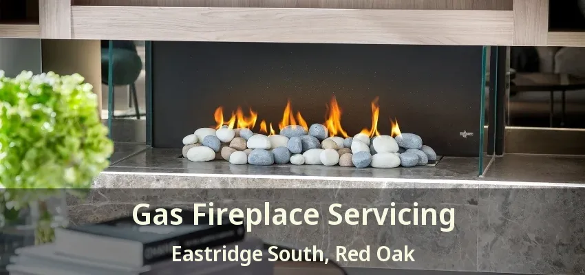 Gas Fireplace Servicing Eastridge South, Red Oak - TX