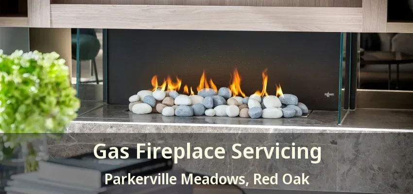 Gas Fireplace Servicing Parkerville Meadows, Red Oak - TX