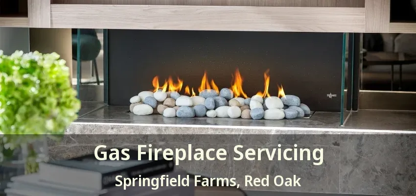 Gas Fireplace Servicing Springfield Farms, Red Oak - TX