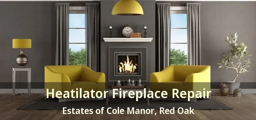 Heatilator Fireplace Repair Estates of Cole Manor, Red Oak - TX